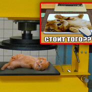 your bunny wrote's avatar