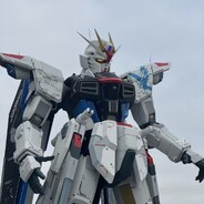 小林子