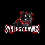 Synergy_Dawgs