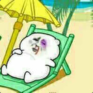 国际舞王赵老四