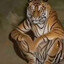 tigre pensativo