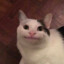rin4in