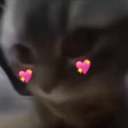 𝓶𝓲𝓼𝓪𝓷𝓷 ♖