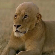  ︻テحكـ 一💥