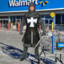Walmart Knight