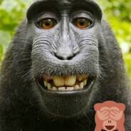 chunckymonke17