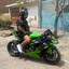 TrNO