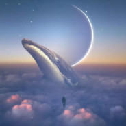 那没了，我跑了