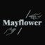 _Mayflower_