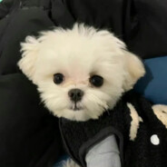 今天给耳机充电了吗