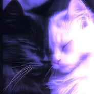 siwwent<3
