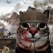 Война писек