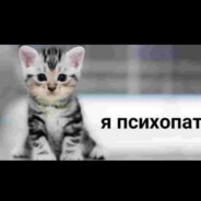 ДИДЖЕЙ ТЕЙП