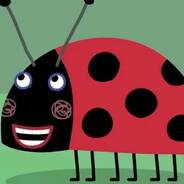 После половых исп