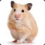 Samster Hamster