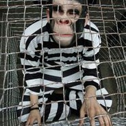 ゛ 含苞待放呢花骨朵 〃