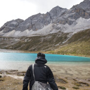 除了老6还会干啥