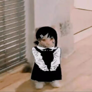 有脑子，但不怎么用！