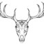 APX_Frost