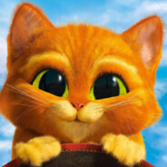 Cat Steam avatar