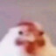 Chimken