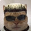 Avatar of Michael Meowers