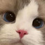 ButterBar9
