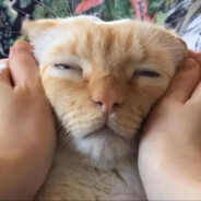 遇事不绝问春风