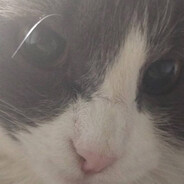 🍌𝔅𝔞𝔫𝔞𝔫𝔞🍌