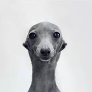 matt