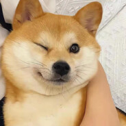 油饼省苏珊市荔枝区嚎啸街道雾雨路2.5号