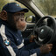 Bimmer Chimp