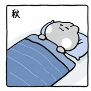 比奇堡党委书记