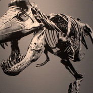 喂喂喂喂喂10086