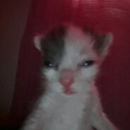 Вольтер Вайт