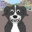 Mr.Pickles
