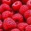 raspberry-malina