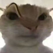 512突破手任正阳