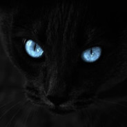DarkCat