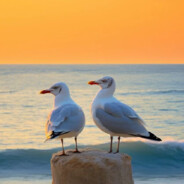 去码头整点薯条