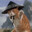 CatFu