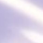 有核模的细胞核