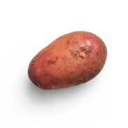 sweetpotato