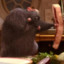 Ratatouille