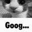 Goobmaxx vs Goonmaxx