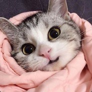бонжур - steam id 76561198357578852