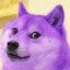 Purple Doge