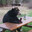 Bearzy