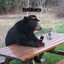 Bearzy