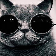 ПиЖоНсКиЙ КоТиК